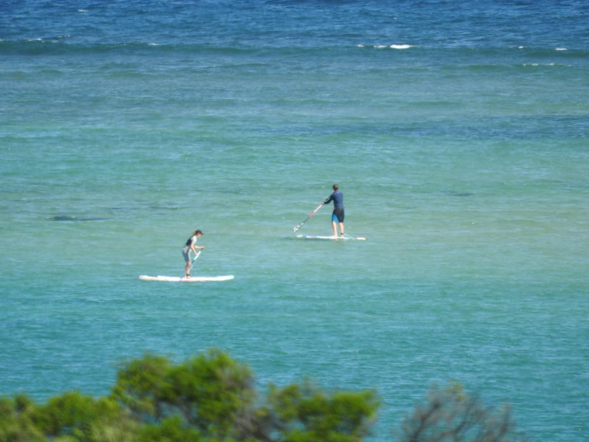 Surf City Motel Torquay Εξωτερικό φωτογραφία